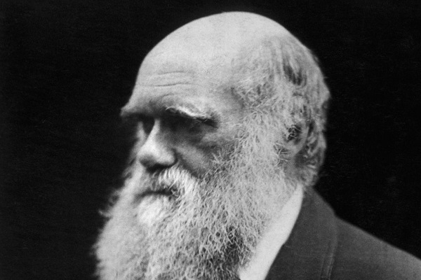 Creationists are Trying to Push Forward a Regressive Agenda on Darwin Day