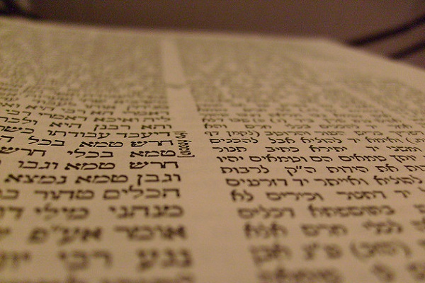 App Helps Translate Talmud into Italian For the First Time