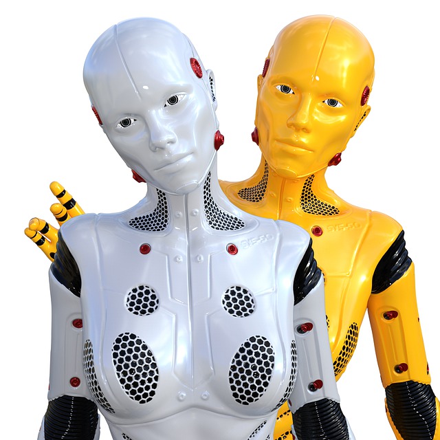 Is it okay for Christians to have Sex with Robots?