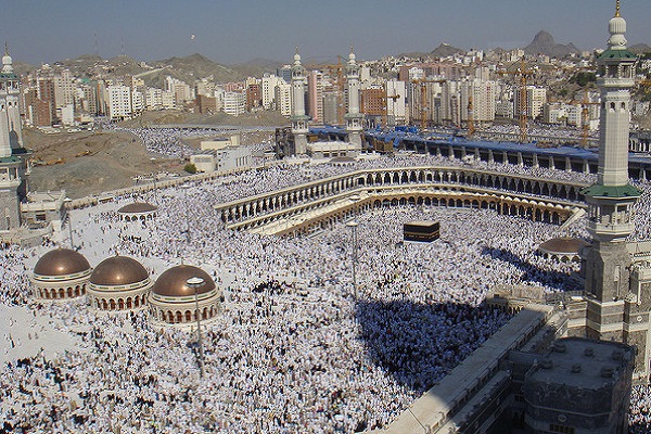 2.4 Million Muslim Pilgrims Climb Mount Arafat for Hajj