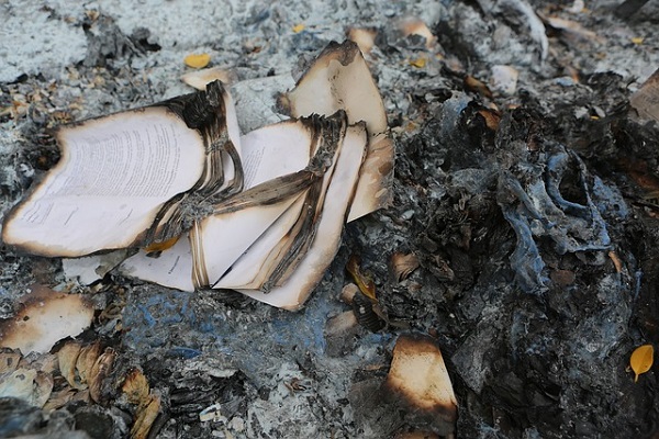 Polish Priests Burn ‘Twilight’ and ‘Harry Potter’ Books